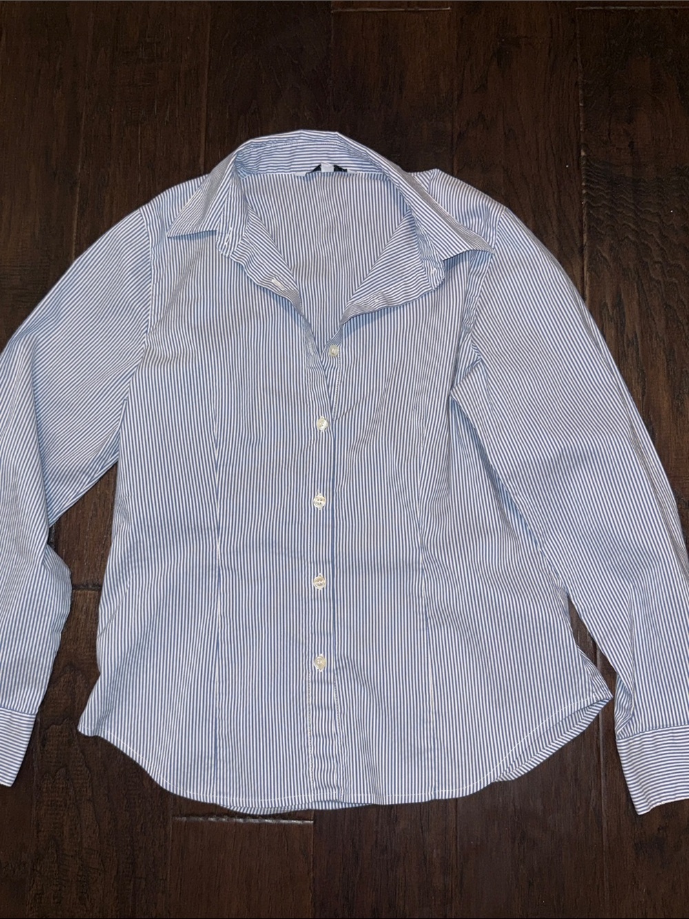 CAbi Blue Stripe Button-Down Dress Shirt Small